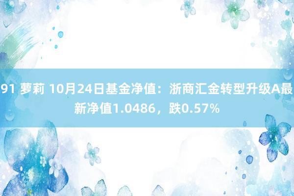 91 萝莉 10月24日基金净值：浙商汇金转型升级A最新净值1.0486，跌0.57%