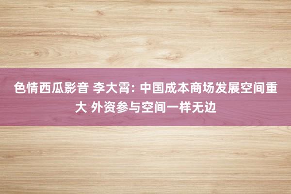 色情西瓜影音 李大霄: 中国成本商场发展空间重大 外资参与空间一样无边