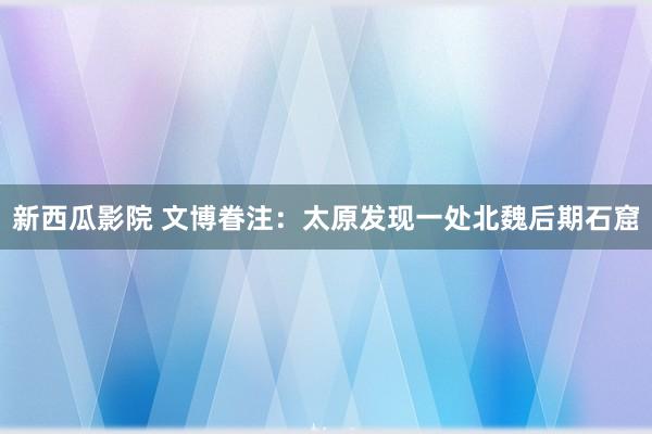 新西瓜影院 文博眷注：太原发现一处北魏后期石窟