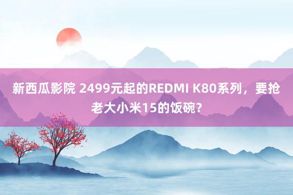 新西瓜影院 2499元起的REDMI K80系列，要抢老大小米15的饭碗？