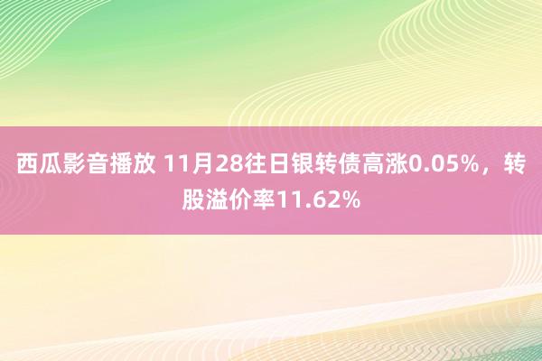 西瓜影音播放 11月28往日银转债高涨0.05%，转股溢价率11.62%