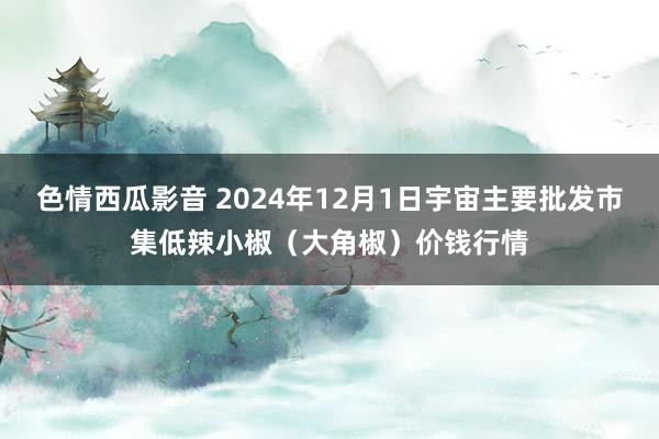 色情西瓜影音 2024年12月1日宇宙主要批发市集低辣小椒（大角椒）价钱行情