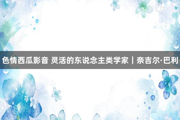 色情西瓜影音 灵活的东说念主类学家｜奈吉尔·巴利