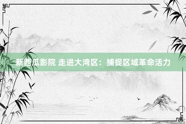 新西瓜影院 走进大湾区：捕捉区域革命活力