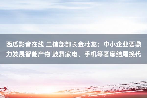 西瓜影音在线 工信部部长金壮龙：中小企业要鼎力发展智能产物 鼓舞家电、手机等奢靡结尾换代
