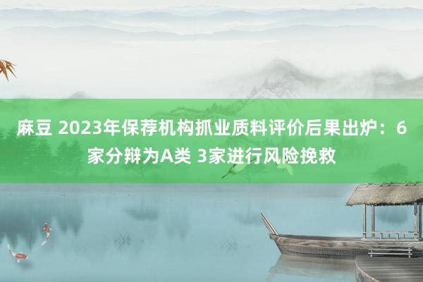 麻豆 2023年保荐机构抓业质料评价后果出炉：6家分辩为A类 3家进行风险挽救