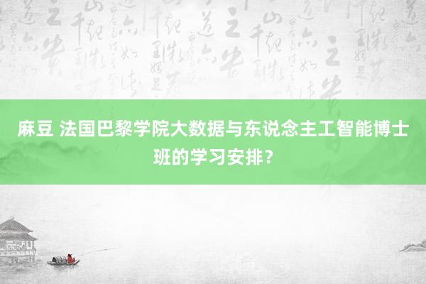 麻豆 法国巴黎学院大数据与东说念主工智能博士班的学习安排？
