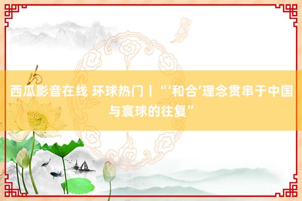 西瓜影音在线 环球热门丨“‘和合’理念贯串于中国与寰球的往复”