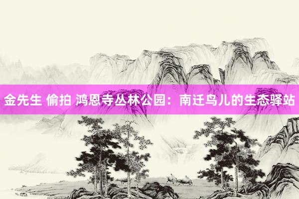金先生 偷拍 鸿恩寺丛林公园：南迁鸟儿的生态驿站
