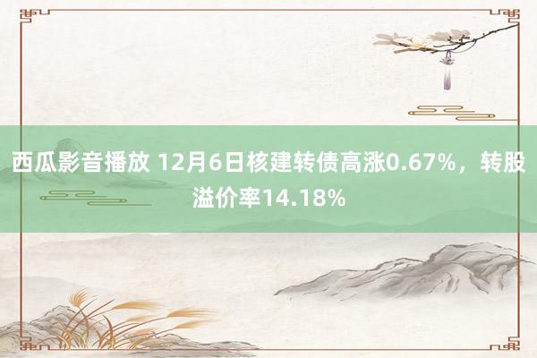 西瓜影音播放 12月6日核建转债高涨0.67%，转股溢价率14.18%