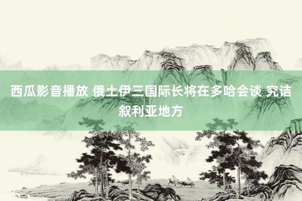 西瓜影音播放 俄土伊三国际长将在多哈会谈 究诘叙利亚地方
