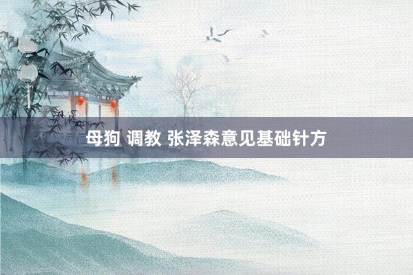 母狗 调教 张泽森意见基础针方