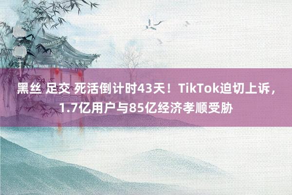 黑丝 足交 死活倒计时43天！TikTok迫切上诉，1.7亿用户与85亿经济孝顺受胁