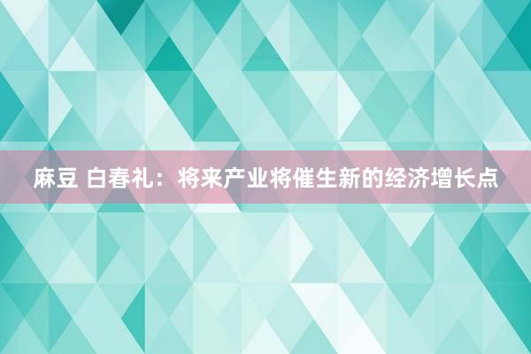 麻豆 白春礼：将来产业将催生新的经济增长点