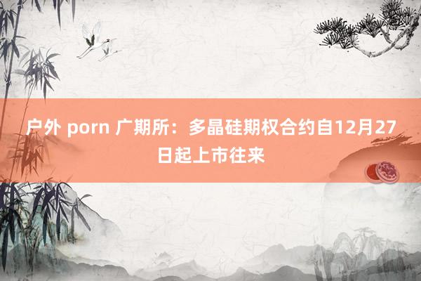 户外 porn 广期所：多晶硅期权合约自12月27日起上市往来