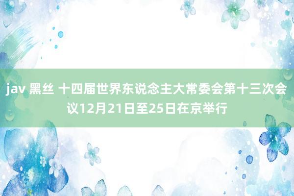 jav 黑丝 十四届世界东说念主大常委会第十三次会议12月21日至25日在京举行