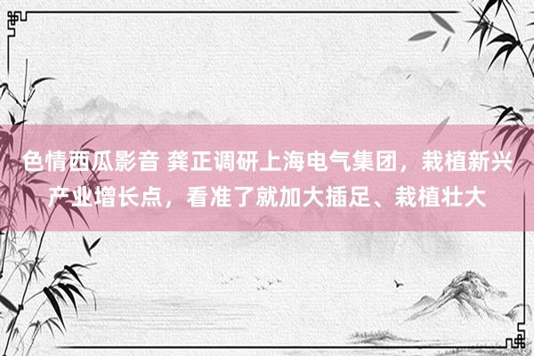 色情西瓜影音 龚正调研上海电气集团，栽植新兴产业增长点，看准了就加大插足、栽植壮大