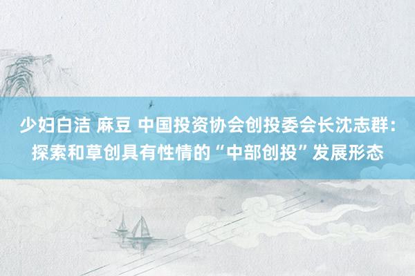 少妇白洁 麻豆 中国投资协会创投委会长沈志群：探索和草创具有性情的“中部创投”发展形态
