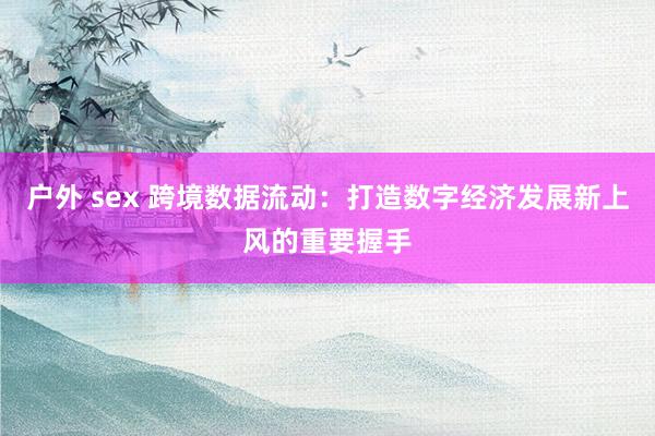 户外 sex 跨境数据流动：打造数字经济发展新上风的重要握手