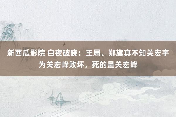 新西瓜影院 白夜破晓：王局、郑旗真不知关宏宇为关宏峰败坏，死的是关宏峰