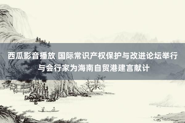西瓜影音播放 国际常识产权保护与改进论坛举行 与会行家为海南自贸港建言献计