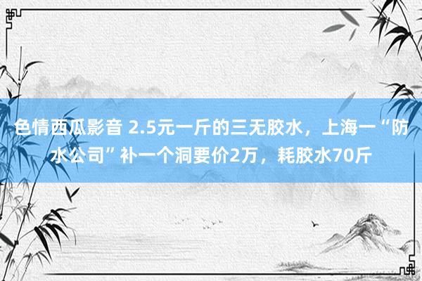 色情西瓜影音 2.5元一斤的三无胶水，上海一“防水公司”补一个洞要价2万，耗胶水70斤