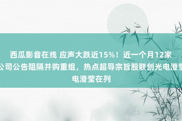 西瓜影音在线 应声大跌近15%！近一个月12家上市公司公告阻隔并购重组，热点超导宗旨股联创光电澄莹在列