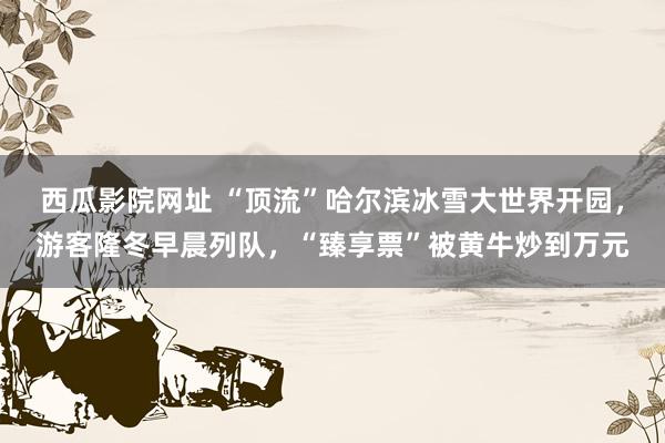 西瓜影院网址 “顶流”哈尔滨冰雪大世界开园，游客隆冬早晨列队，“臻享票”被黄牛炒到万元