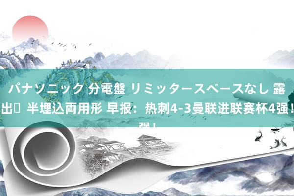 パナソニック 分電盤 リミッタースペースなし 露出・半埋込両用形 早报：热刺4-3曼联进联赛杯4强！