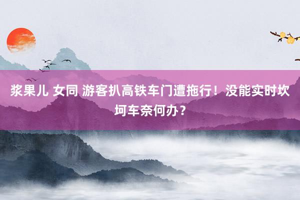 浆果儿 女同 游客扒高铁车门遭拖行！没能实时坎坷车奈何办？
