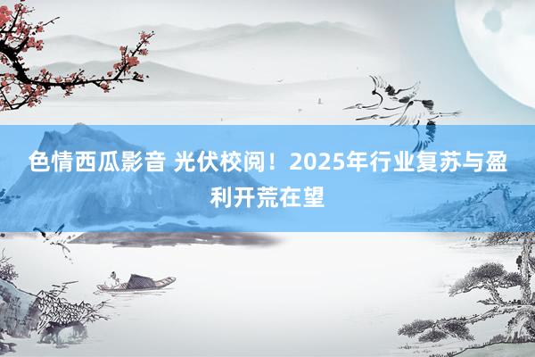 色情西瓜影音 光伏校阅！2025年行业复苏与盈利开荒在望
