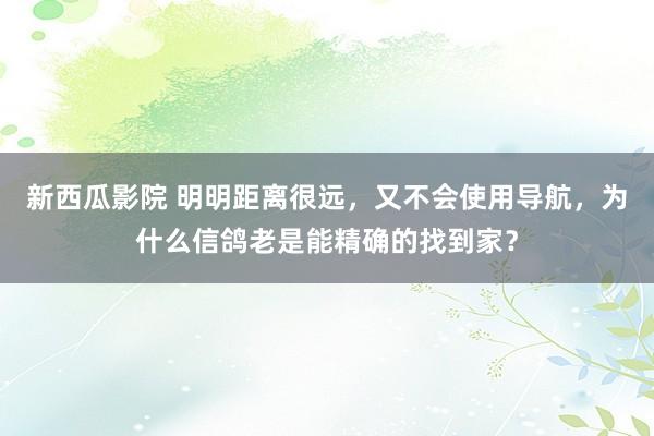 新西瓜影院 明明距离很远，又不会使用导航，为什么信鸽老是能精确的找到家？