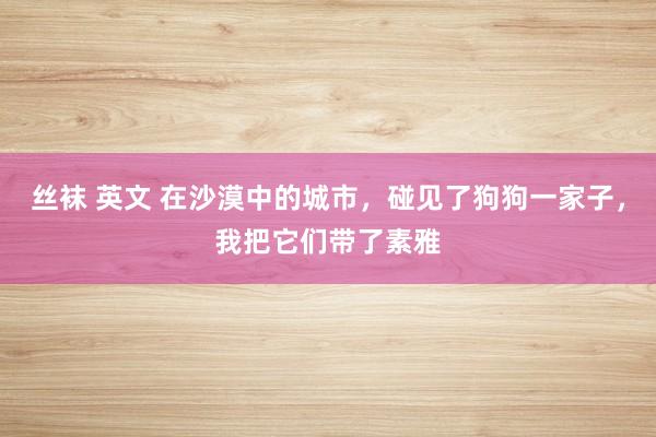 丝袜 英文 在沙漠中的城市，碰见了狗狗一家子，我把它们带了素雅
