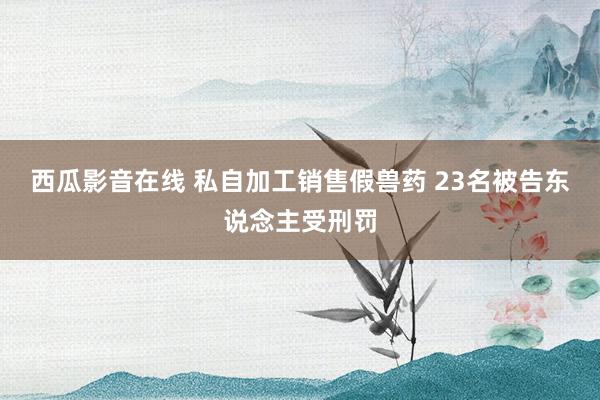 西瓜影音在线 私自加工销售假兽药 23名被告东说念主受刑罚