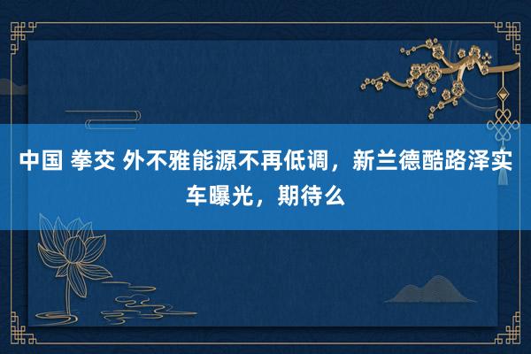中国 拳交 外不雅能源不再低调，新兰德酷路泽实车曝光，期待么