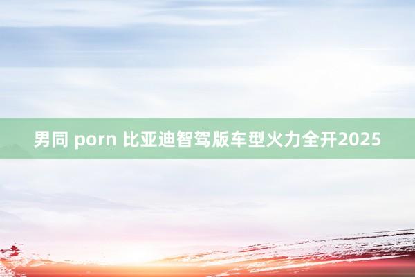 男同 porn 比亚迪智驾版车型火力全开2025