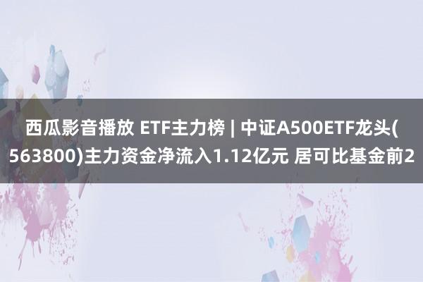 西瓜影音播放 ETF主力榜 | 中证A500ETF龙头(563800)主力资金净流入1.12亿元 居可比基金前2