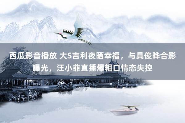 西瓜影音播放 大S吉利夜晒幸福，与具俊晔合影曝光，汪小菲直播爆粗口情态失控