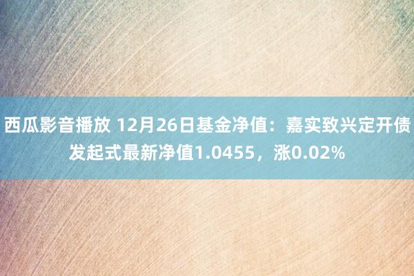 西瓜影音播放 12月26日基金净值：嘉实致兴定开债发起式最新净值1.0455，涨0.02%