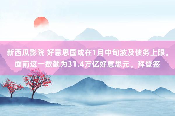 新西瓜影院 好意思国或在1月中旬波及债务上限。面前这一数额为31.4万亿好意思元。拜登签