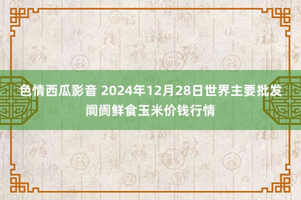色情西瓜影音 2024年12月28日世界主要批发阛阓鲜食玉米价钱行情