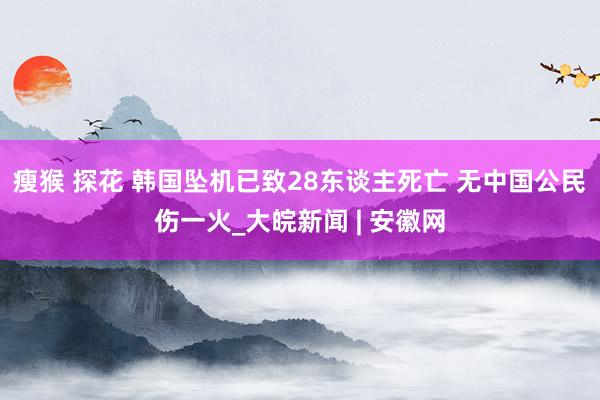 瘦猴 探花 韩国坠机已致28东谈主死亡 无中国公民伤一火_大皖新闻 | 安徽网