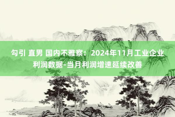 勾引 直男 国内不雅察：2024年11月工业企业利润数据-当月利润增速延续改善