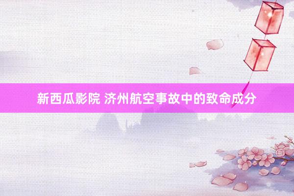 新西瓜影院 济州航空事故中的致命成分