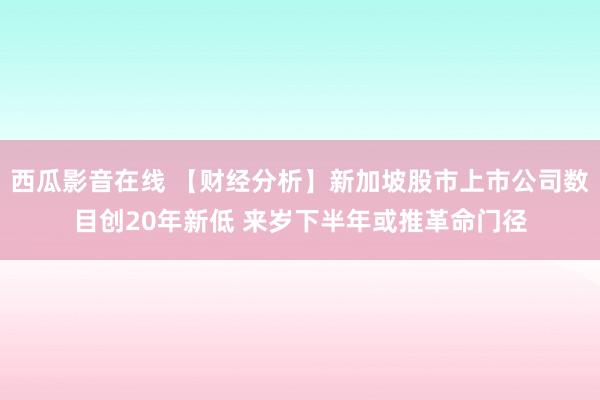 西瓜影音在线 【财经分析】新加坡股市上市公司数目创20年新低 来岁下半年或推革命门径
