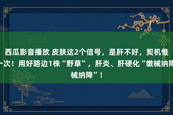西瓜影音播放 皮肤这2个信号，是肝不好，契机惟有一次！用好路边1株“野草”，肝炎、肝硬化“缴械纳降”！