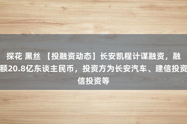 探花 黑丝 【投融资动态】长安凯程计谋融资，融资额20.8亿东谈主民币，投资方为长安汽车、建信投资等