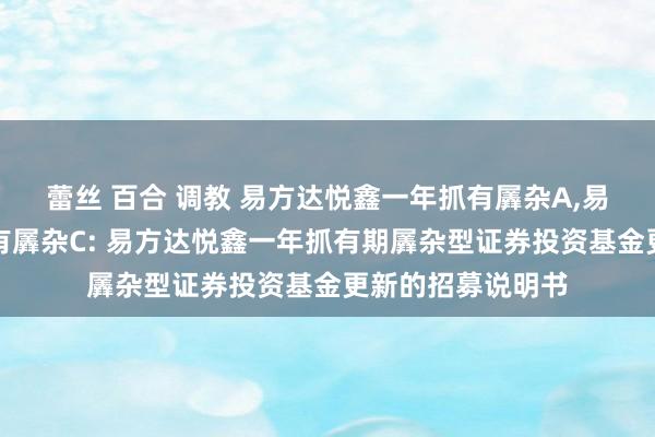 蕾丝 百合 调教 易方达悦鑫一年抓有羼杂A,易方达悦鑫一年抓有羼杂C: 易方达悦鑫一年抓有期羼杂型证券投资基金更新的招募说明书