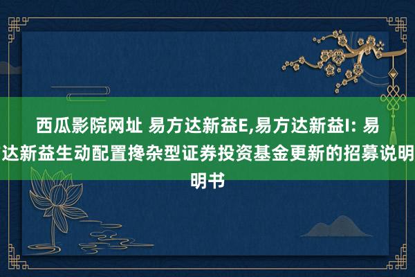西瓜影院网址 易方达新益E,易方达新益I: 易方达新益生动配置搀杂型证券投资基金更新的招募说明书