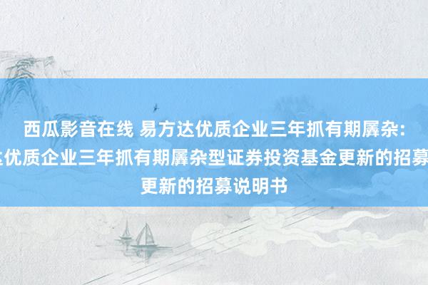 西瓜影音在线 易方达优质企业三年抓有期羼杂: 易方达优质企业三年抓有期羼杂型证券投资基金更新的招募说明书